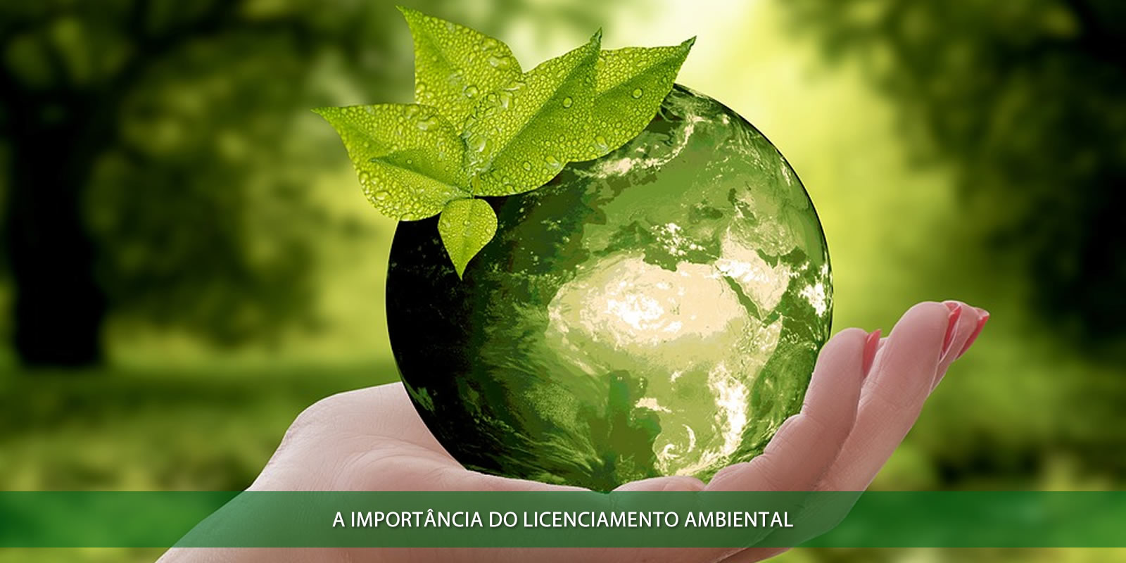 A importância do licenciamento ambiental
